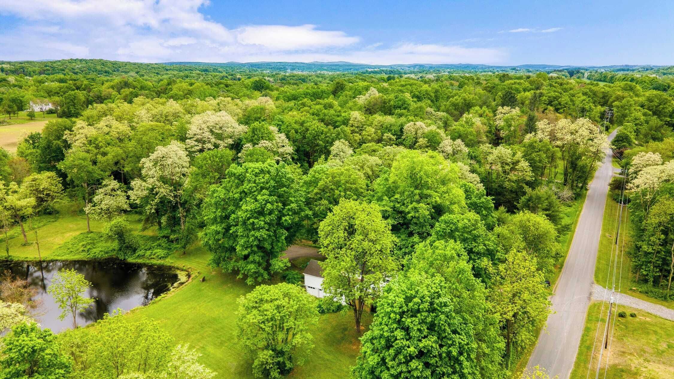A lush green landscape with a river, a road, and a white building surrounded by dense trees.