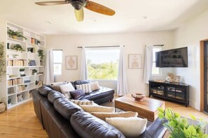 Televisión, chimenea, libros y oficina 