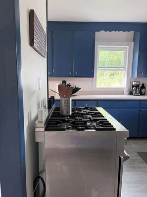 Private kitchen - Blue Spruce Haus | 4 BR (Finland)