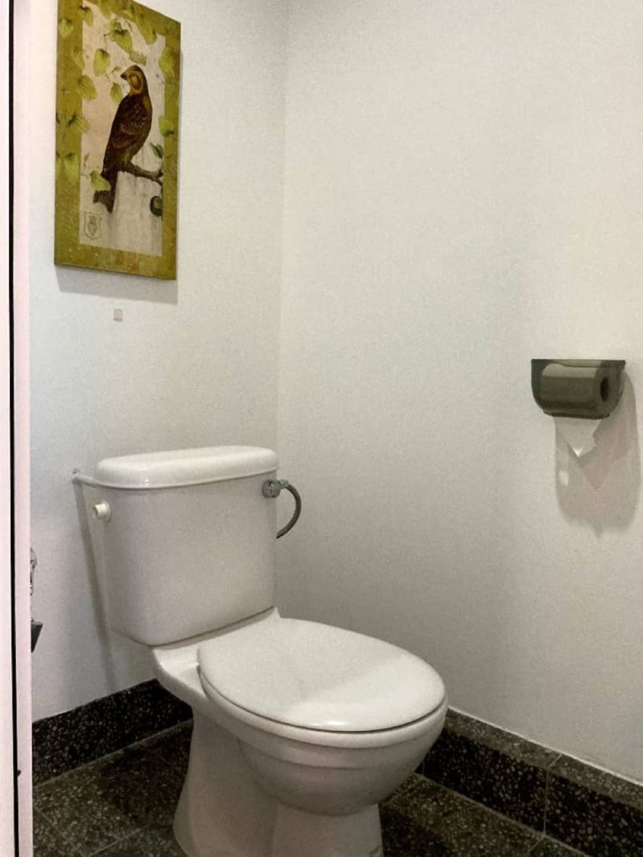 A white toilet with a wall-mounted bidet in a bathroom with a granite countertop and a framed painting on the wall.