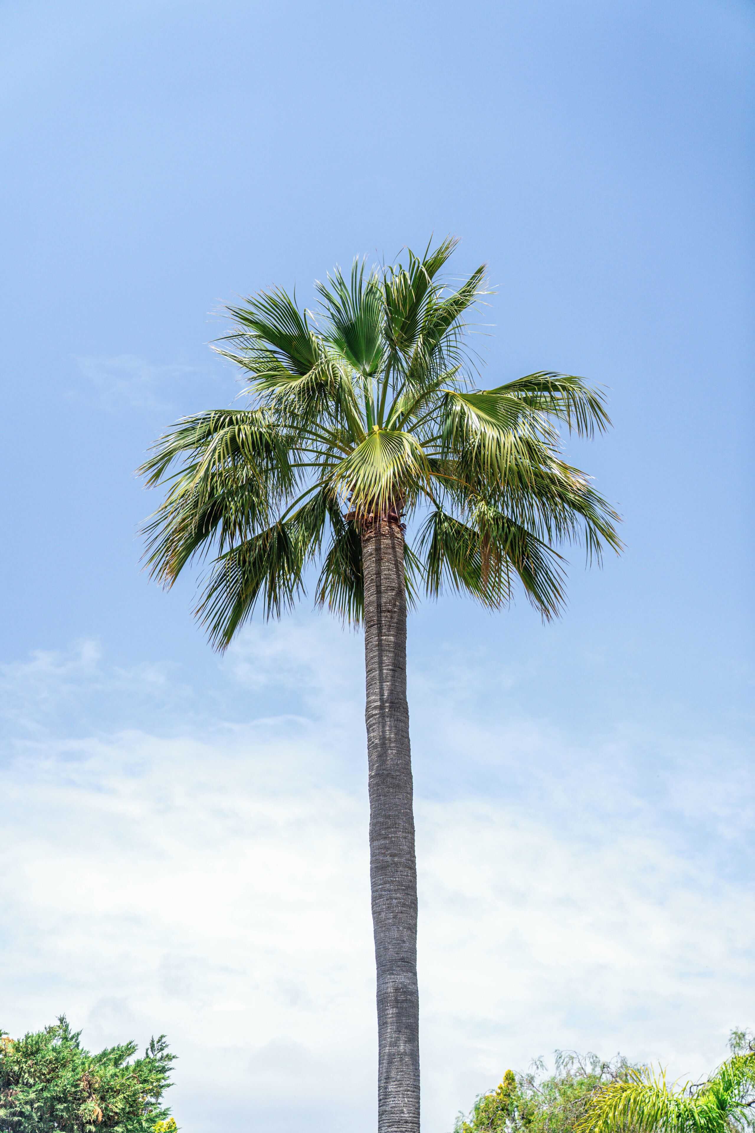 Photo - CASA TESS boutique hotel