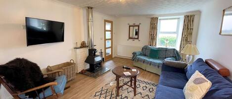 Een televisie, een open haard en boeken