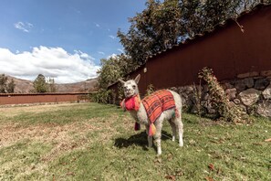 Détail de l’intérieur
