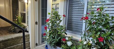 Détail de l’extérieur