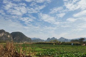 Miscellaneous - Yingde Fenglin Moke Homestay (Yingde)