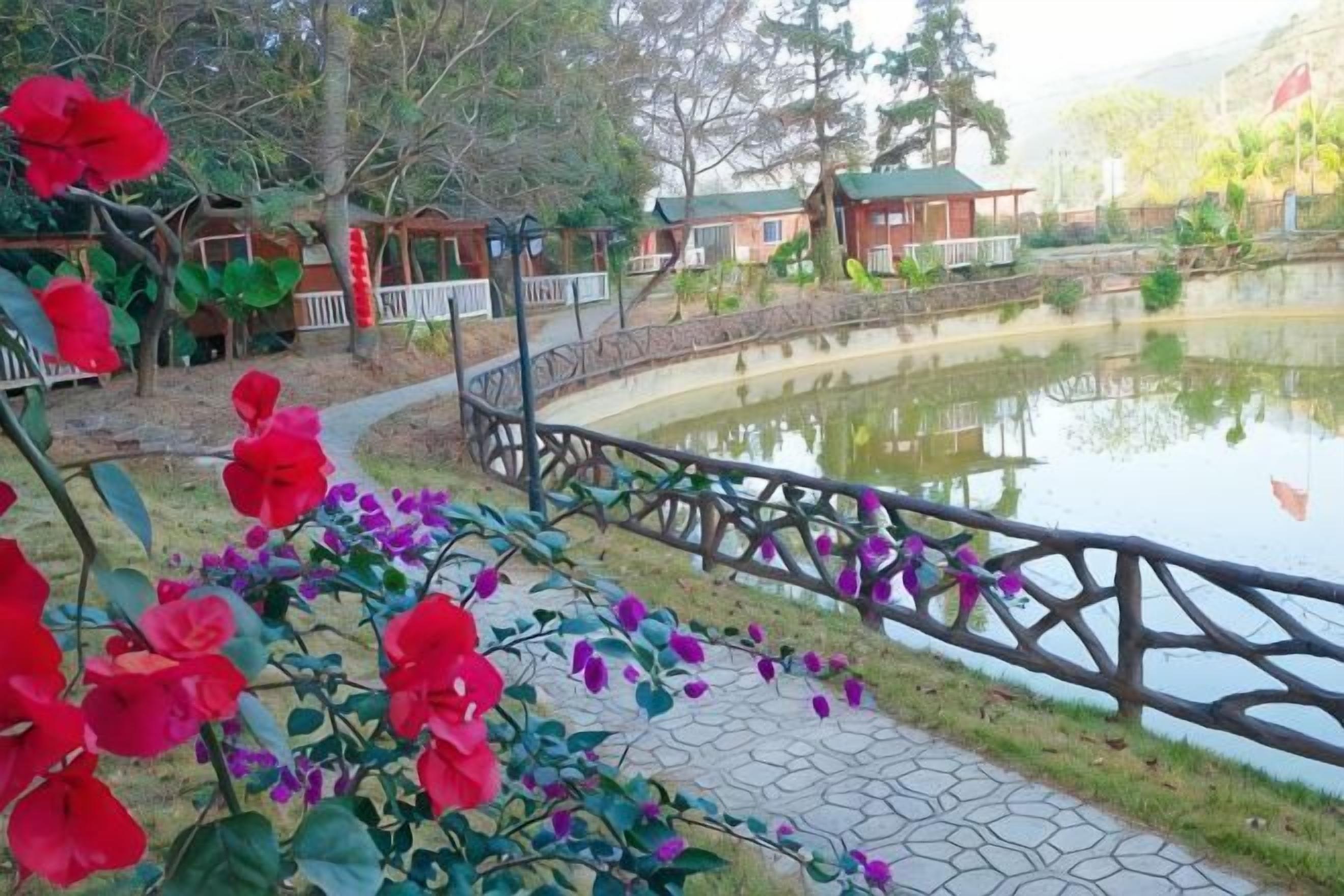 حديقة
