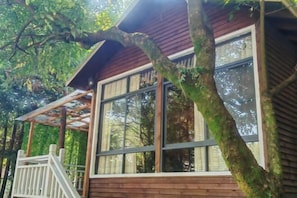 Surrounded by lush greenery, this cabin offers a serene forest view from its wooden deck.