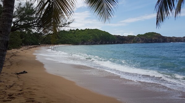 On the beach - La Caravelle ⚓ - Pleasant studio near the beach (La Trinité)