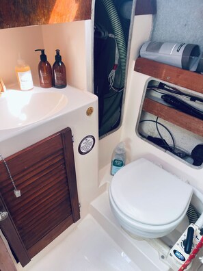Hair dryer, towels, soap, toilet paper