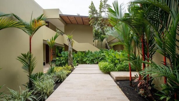 Un edificio moderno con un camino central de hormigón bordeado por exuberante vegetación y palmeras.