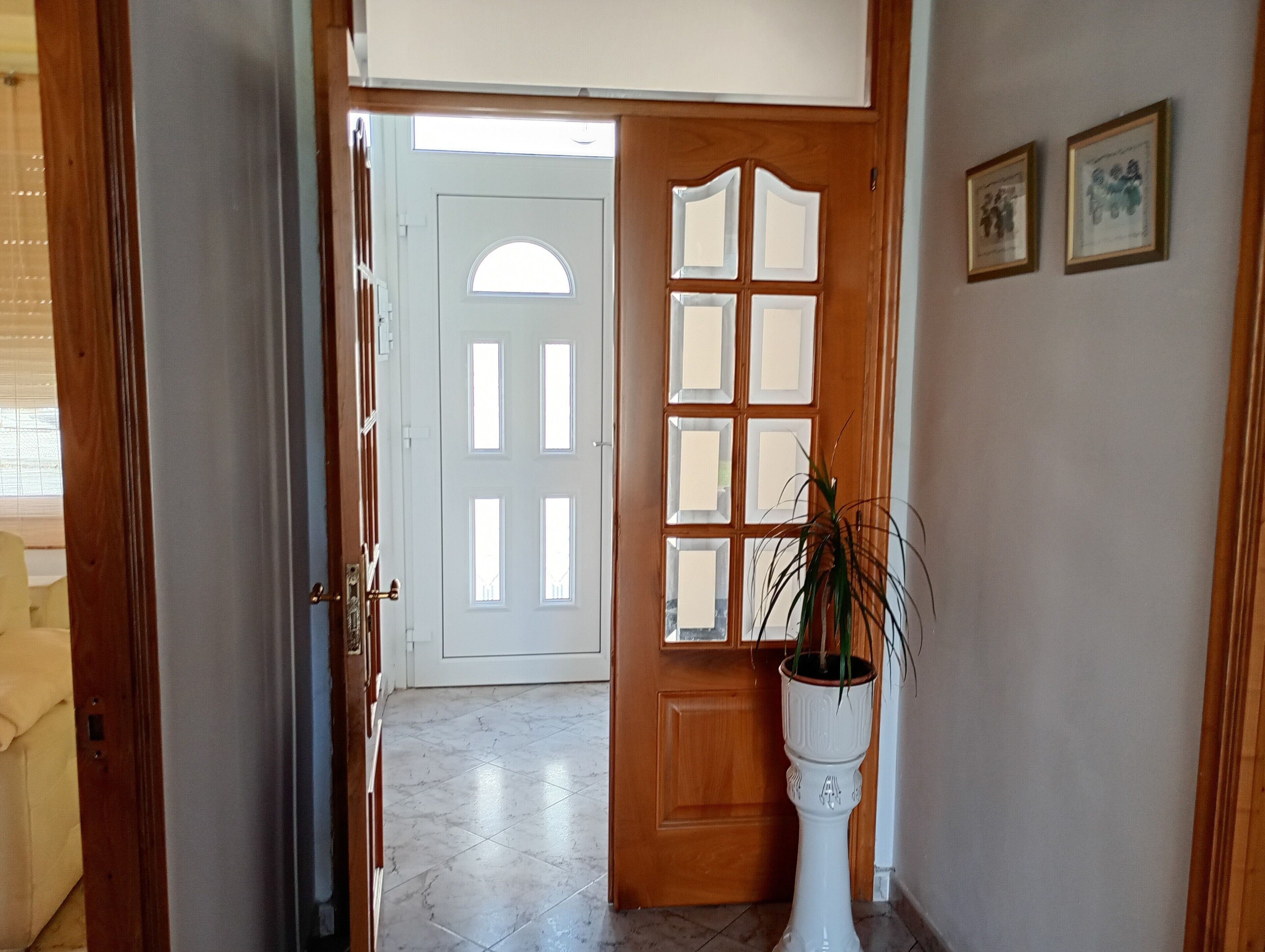 Un pasillo con una puerta blanca, una planta en maceta y dos cuadros en la pared.