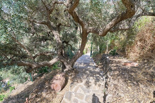 Country House 'Olivar 30' with Mountain View, Wi-Fi and Air Conditioning