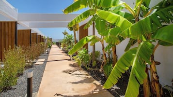 Parco della struttura