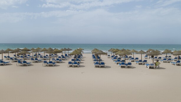 A beach with rows of blue lounge chairs and thatched umbrellas.