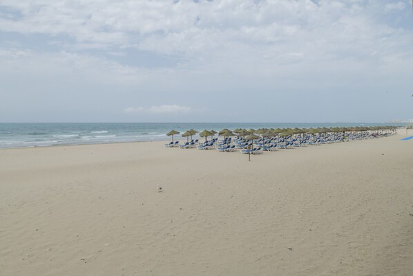 Ein Strand mit Reihen blauer Liegestühle und Reetdachschirmen.