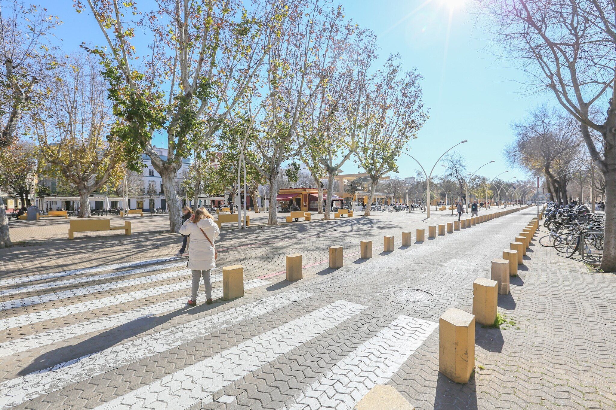Un passage pour piétons agrémenté d’arbres et de bancs.