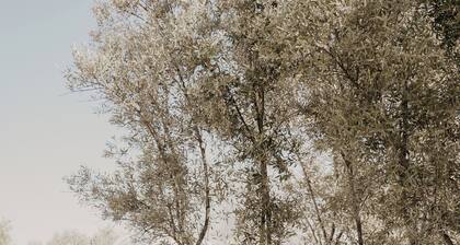 Campera Hotel Burbuja VDG