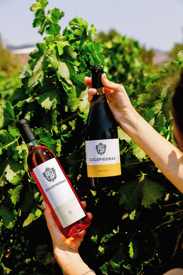 Two bottles of wine being held by individuals in a vineyard. - Campera Hotel Burbuja VDG (Valle de Guadalupe)