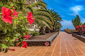 Property grounds - Vacation 'Atlantis 3 One Bedroom' with Sea View, Shared Pool and Wi-Fi (Costa Del Silencio)