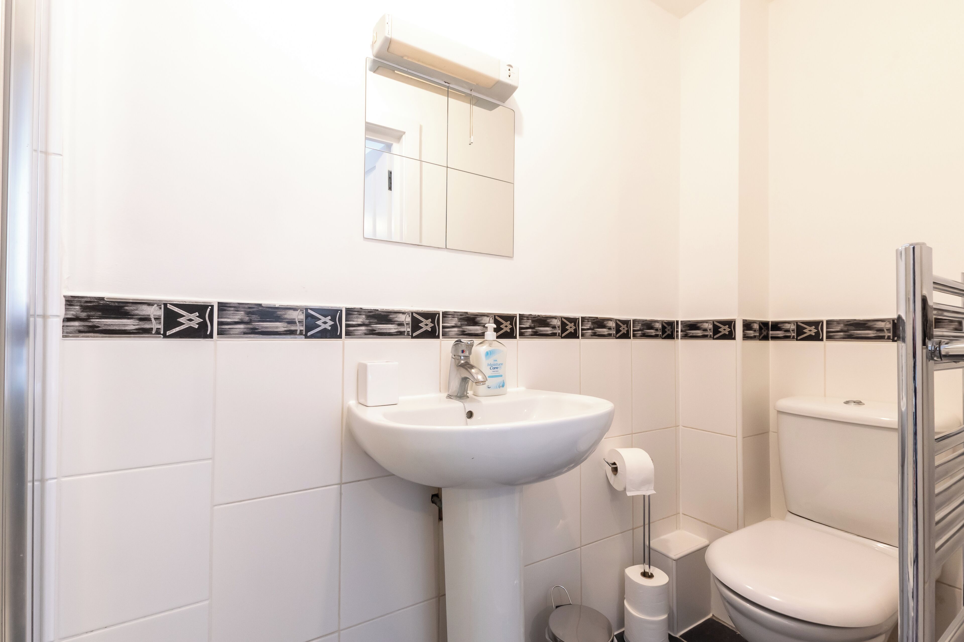 Hair dryer, towels, soap, toilet paper