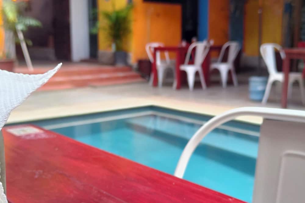 Iguana Co-living