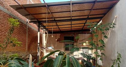 Iguana Co-living