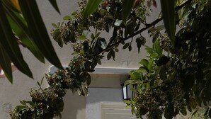 Una puerta blanca de diseño moderno, una planta en maceta a la izquierda y un suelo de grava.