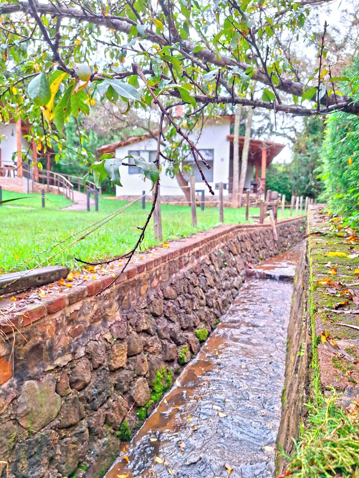 Cabin, 1 King Bed | Free WiFi