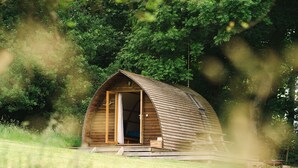 A wooden cabin with an open door, surrounded by lush greenery.