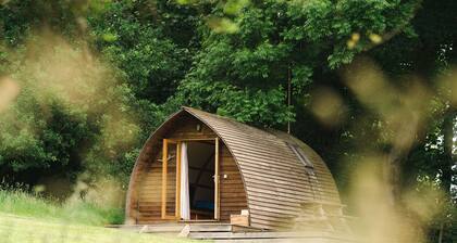 Superior-Kabine-Ensuite mit Dusche
