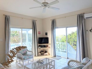 TV - Blue Skies, a Gorgeous Vacation House in Rainbow Bay, Eleuthera (James Cistern)
