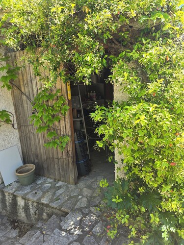 Maison à 100m du port