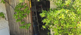 House 100m from the port