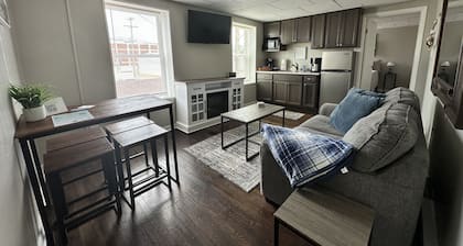 Newly renovated 2 bdrm apartment in downtown (24)