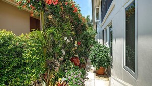 A narrow pathway flanked by lush greenery and flowering plants leading to a building with a modern facade.