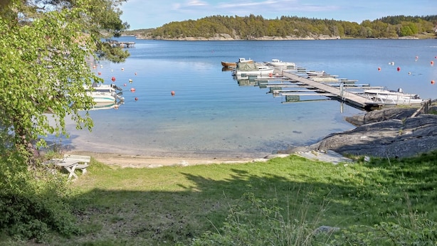 A lakeside dock with boats, a grassy area, and a forested shoreline.