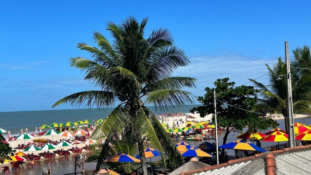 A beach with palm trees, umbrellas, and a clear blue sky.