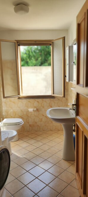 Shower, hair dryer, bidet, towels