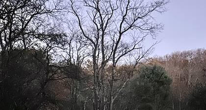 Luxury Cabin Hot Tub ATV Trail Cherry Springs