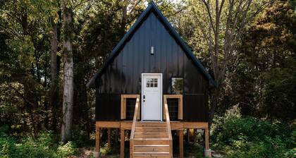 2 Treehouse Stay: Blonde and Brunette