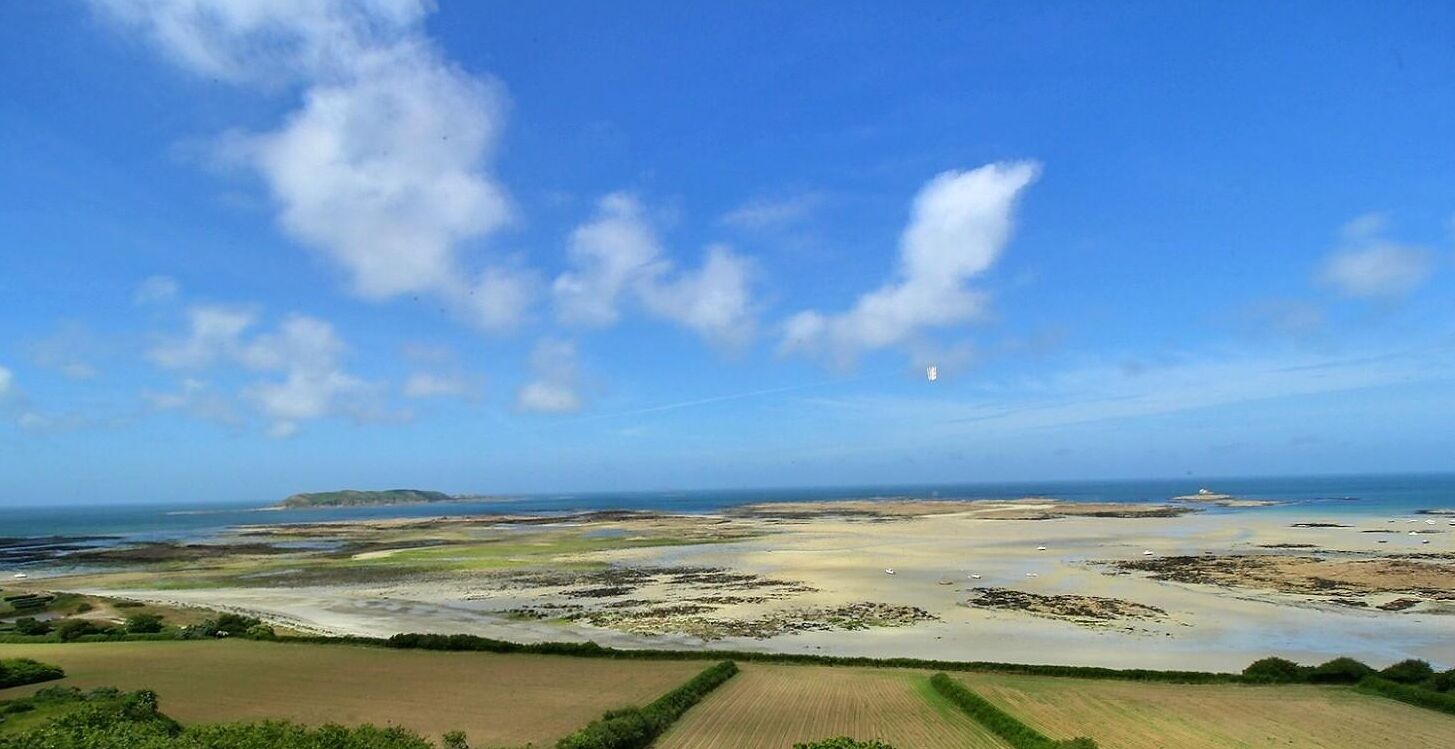 Un paysage côtier avec des champs et une plage.