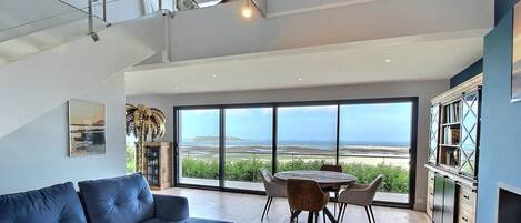 TV, fireplace, books