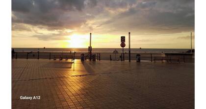 Frontal sea view - spacious studio in AAA location. Dog welcome.
