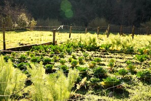 Property grounds - Room 'Oiva' with Mountain View, Wi-Fi and Air Conditioning (Albisola Superiore)