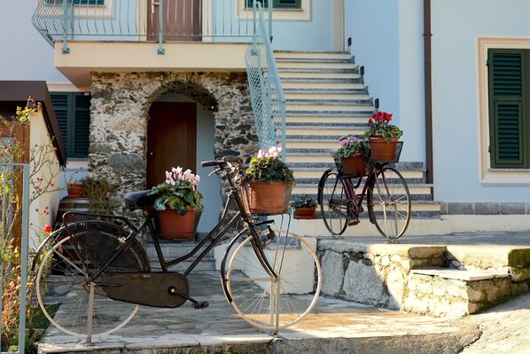 المنطقة المحيطة بالمنشأة