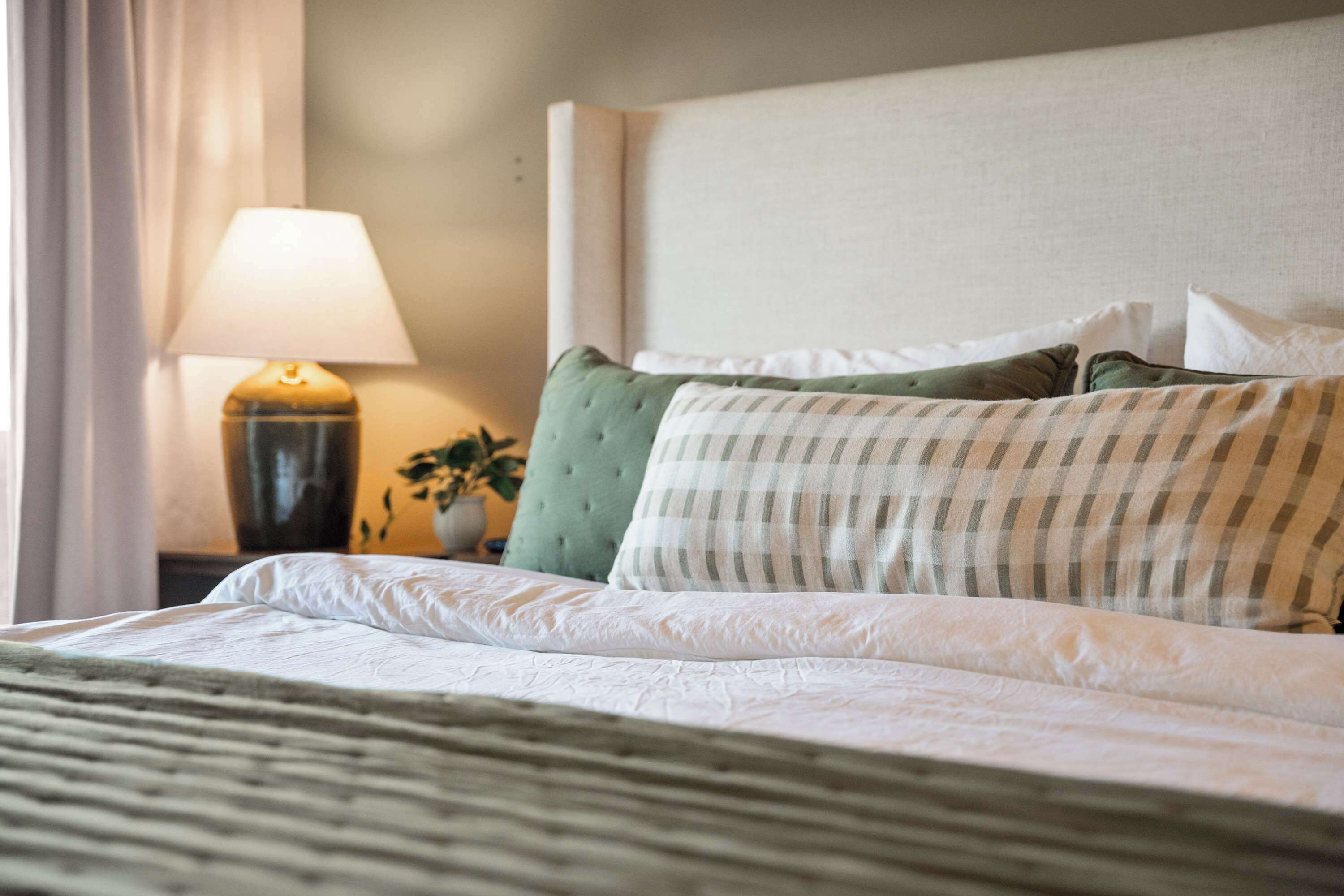 A neatly made bed with a striped pillow, a lamp, and a plant on a bedside table.