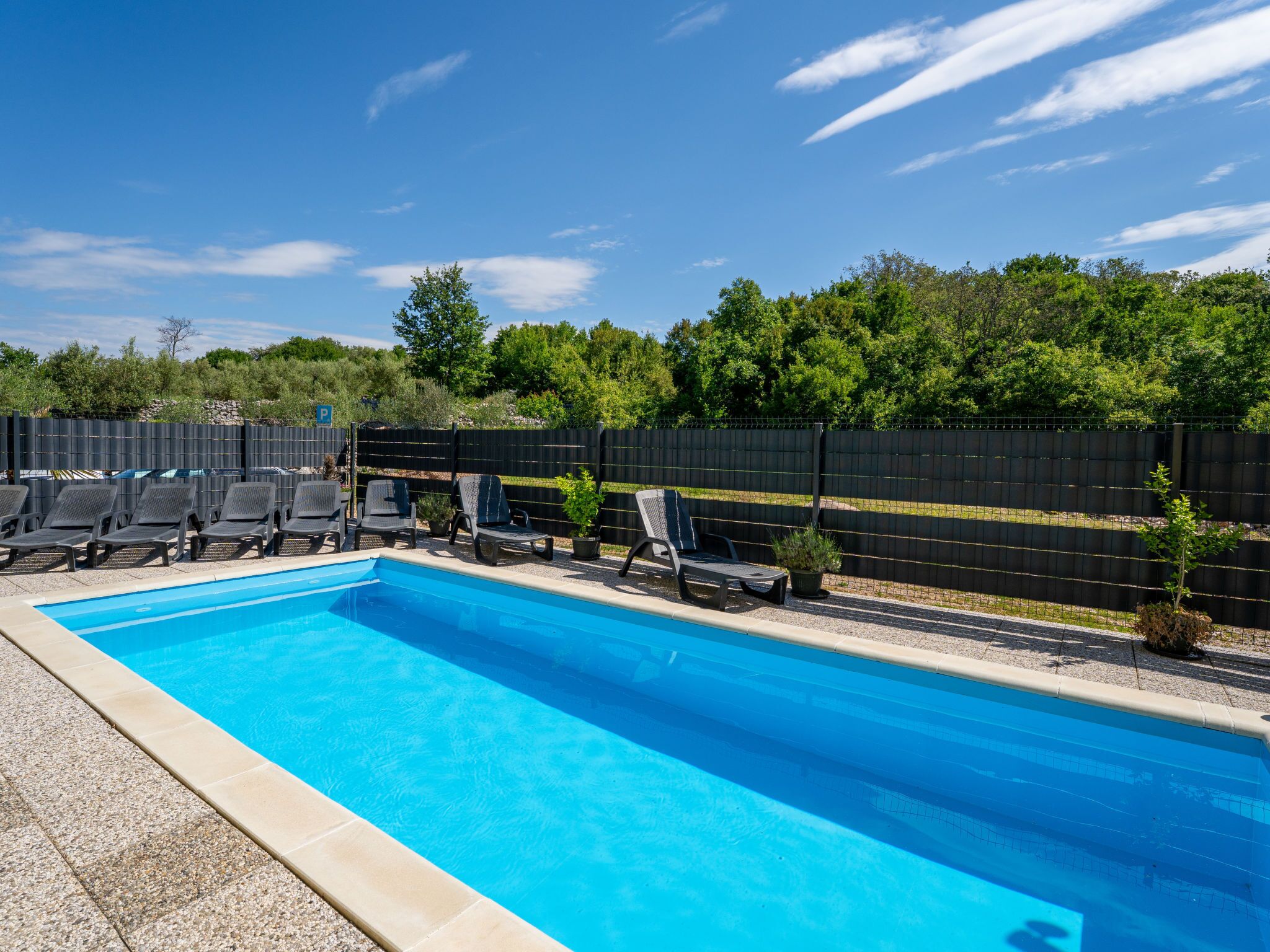 Et rektangulært swimmingpool med flisekant, omgivet af liggestole og plantekrukker.