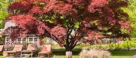 Casa | 5 habitaciones