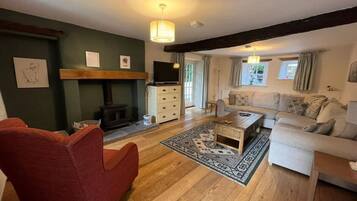 Televisión y chimenea