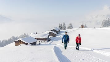 Wintersport/Ski